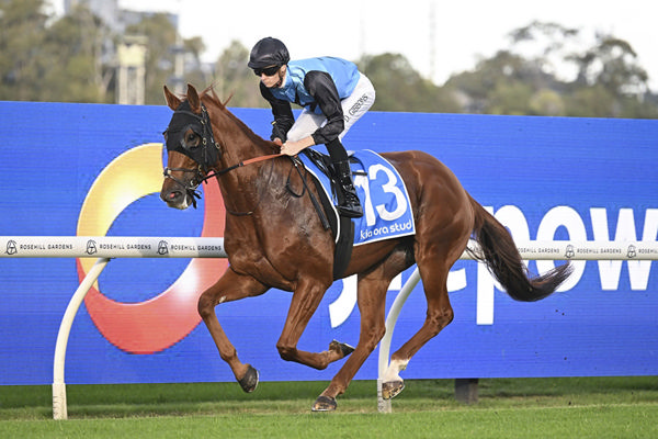 Half Yours Highlighted His Spring Staying Claims - Image Bradley Photos
