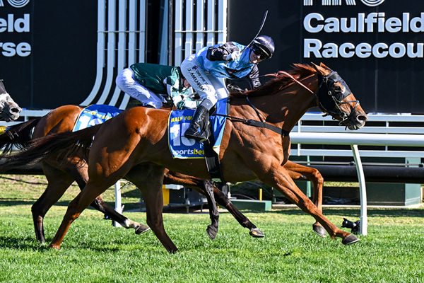 G1 Caulfield Cup Goes To Tony And Calvin McEvoy's Half Yous - Image Pat Scala/Racing Photos