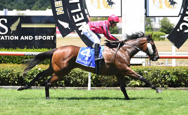 Hanalei surges clear to win the Listed IRT Wellesley Stakes (1100m) at Trentham Photo Credit: Race Images – Peter Rubery