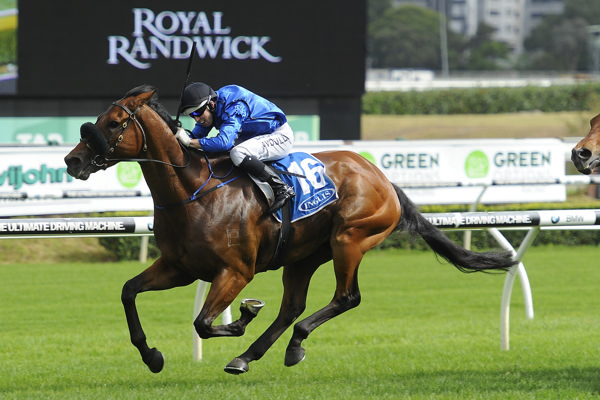 $7million earner Happy Clapper won his first stakes race in the 2015 Villiers - image Bradley Photos