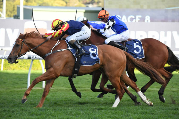 Hard Empire scores a shock win in the G2 Missile stakes - image Steve Hart