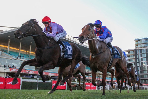 Hard To Cross storms home under apprentice Rose Hammond to win at The Valley. Photo: Bruno Cannatelli