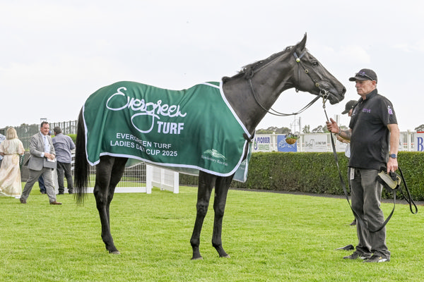 Harlem Queen is now a deserved stakes-winner - image Bradley Photos