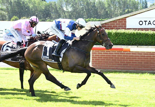 Hasabro takes out the Listed Alleviate Administration Hazlett Stakes (1200m) at Wingatui Photo Credit: Tayler Strong