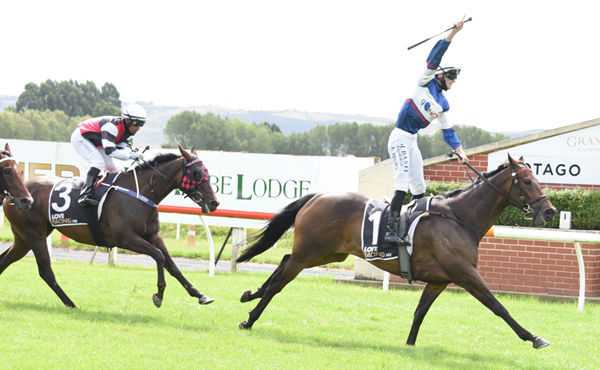 A delighted Jacob Lowry salutes as Hasabro takes out the Gr.3 White Robe Lodge (1600m) at Wingatui Photo Credit: Tayler Strong