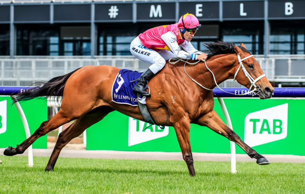 What a powerhouse Haut Brion Her stretches out to win the Blazer Stakes (image Grant Courtney)