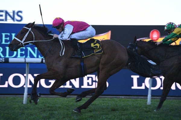 Haut Brion Her wins the G2 Sheraco Stakes - image Steve Hart