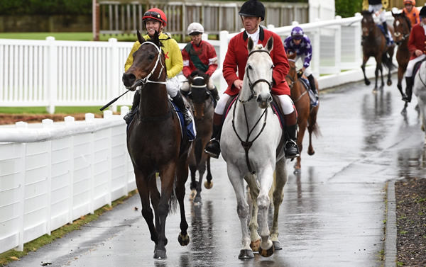 Have A Crack winning the Rich Hill Stud (1200m) at Ellerslie on Saturday.  Photo: Kenton Wright (Race Imags)