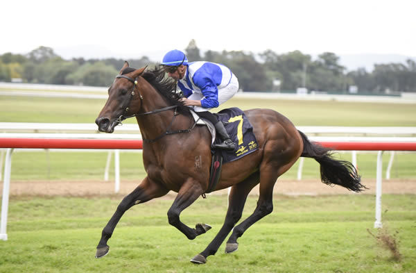 Hawaii Five Oh won the G3 Hawkesbury Guineas by daylight - image Steve Hart