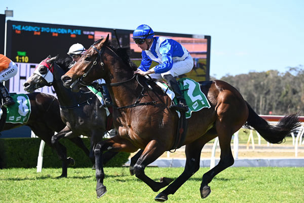 Hawaii Five Oh salutes at Wyong - image Steve Hart