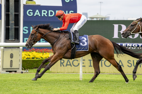 Hay Street breaks the maiden - image Bradley Photos