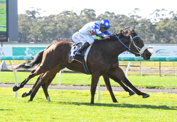 Hazey Hill wins at Bendigo - image Racing Photos