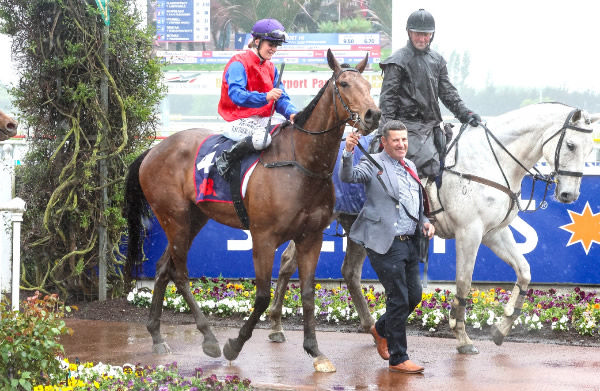 He's Lucid upon winning the Gr.3 War Decree Stakes (1600m) at Riccarton on Saturday.  Photo: Ajay Berry (Race Images South)