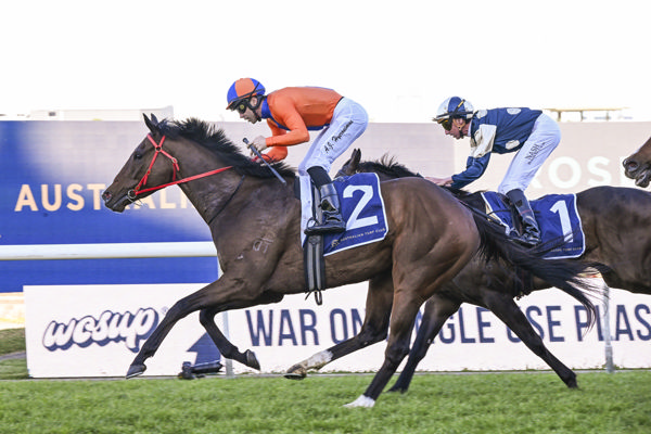 HEadley Grange won the $1.5million ATC Alan Brown Stakes - image Bradley Photos