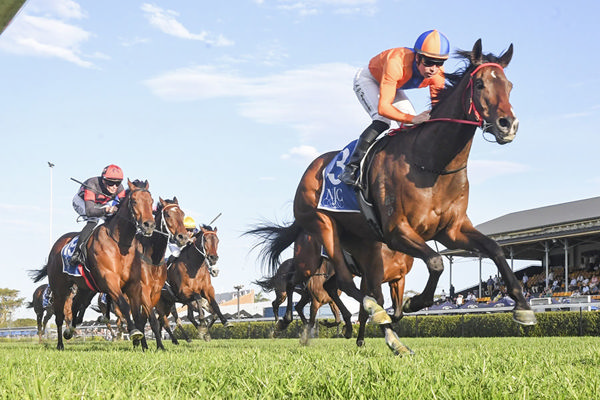 Having Previously Won The Listed Civic Stakes, Headley Grange Added The G3 Cameron Hcp To His Record - Image Bradley Photos