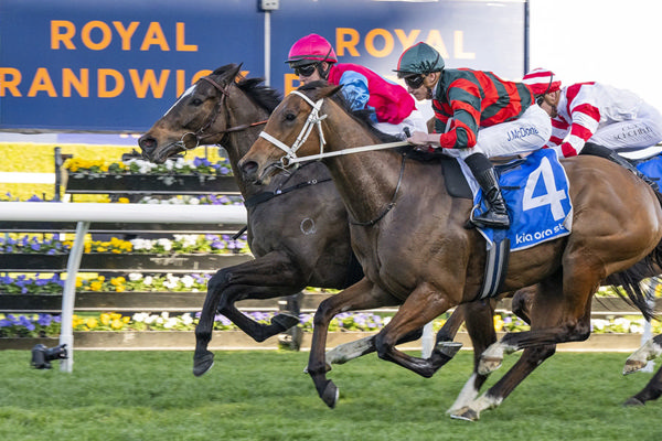 Headwall Holds Off The Fast Finishing Lady Shenandoah To Win The G3 Concorde Stakes - Image Bradley Photos