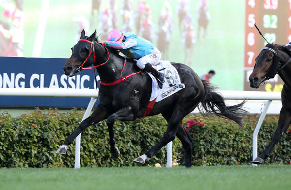 Healthy Happy wins the Classic Cup - image HKJC