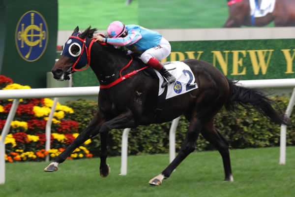 Healthy Happy wins the G3 Chinese Challenge Cup - image HKJC 