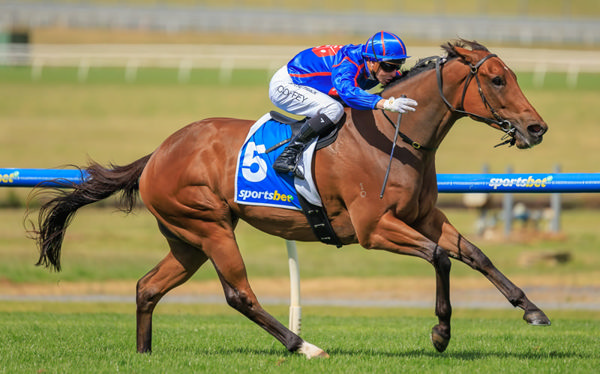 Hedged wins the Listed Christmas Stakes in a breeze - image Grant Courtney