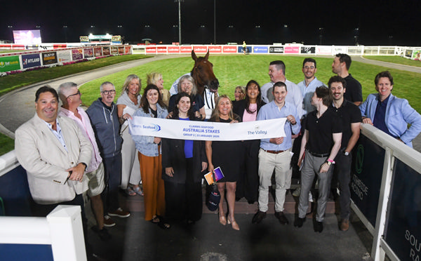 Hedged has won over $1million in prizemoney - image Racing Photos