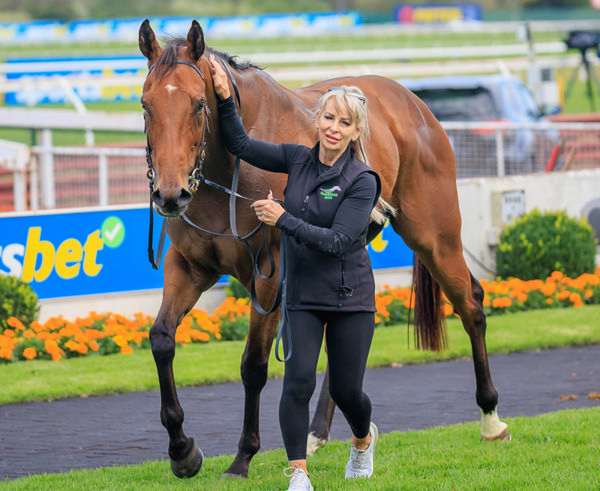 Hedged, now a stakes-winner! - image Grant Courtney