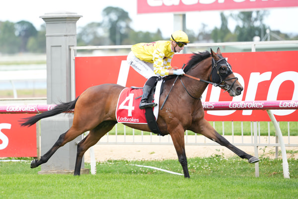 Heironaut wins on debut - image Scott Barbour / Racing Photos