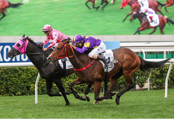 Helios Express in the purple arrives on the line to win - image HKJC