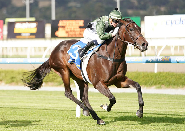 Hell Hath No Fury  wins at Pakenham - image Scott Barbour / Racing Photos