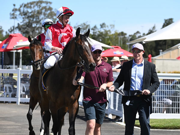 Hell I Am returns to scale with Champion Thoroughbreds Jason Abrahams, who also bred him - image Steve Hart 