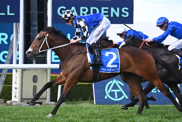 Hellavadancer wins at Rosehill - image Steve Hart