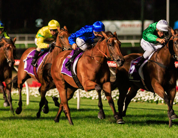 Hellfest wins the G3 Typhoon Tracy Stakes - image Grant Courtney