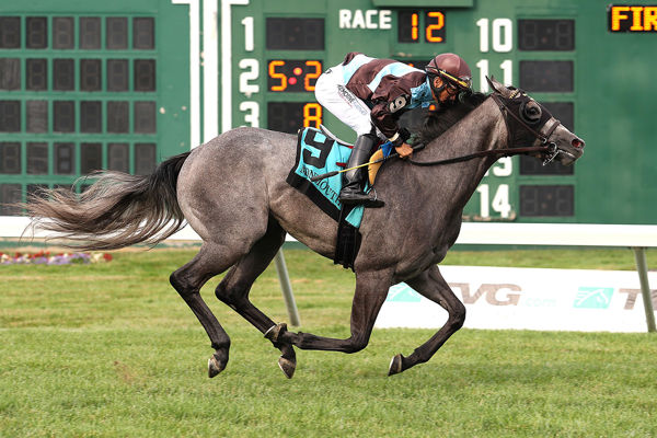 Her World debuts with a 6-length romp (image Monmouth Park)