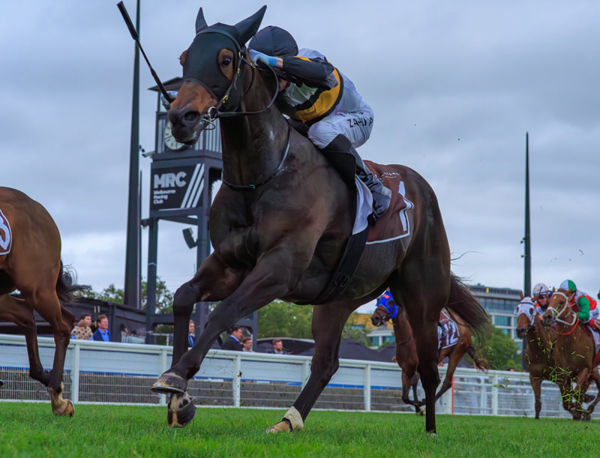 Here to Shock wins the Listed Testa Rossa Stakes - image Grant Courtney