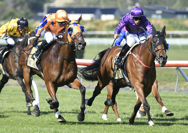 He’s A Doozy lands the Gr.3 Thompson Handicap (1600m) under a perfect Kozzi Asano ride  Photo: Race Images PN (Peter Rubery) 