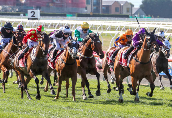 He’s A Doozy (purple silks) winning the Gr.3 Coupland’s Bakeries Mile (1600m) Photo: Race Images CHCH