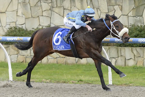 He's the Ultimate bolts in at Pakenham - image Ross Holburt / Racing Photos