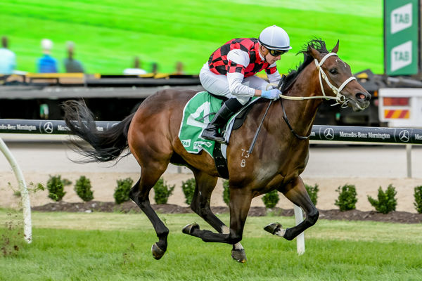 Better things ahead for He's Xceptional (image (Ross Holburt/Racing Photos)