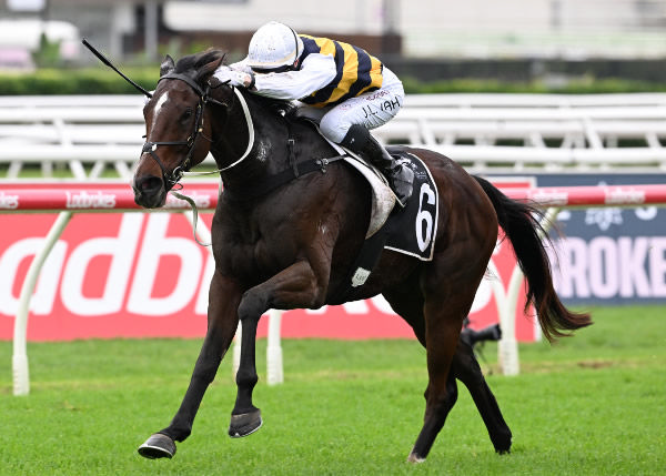 Hezashocker was at his winning best taking out the Gr.3 Premier’s Cup at Eagle Farm. Photo: Grant Peters, Trackside Photography