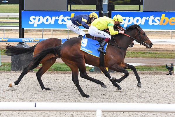 Hit the Shot gets up in the last stride at Ballarat - image Pat Scala / Racing Photos