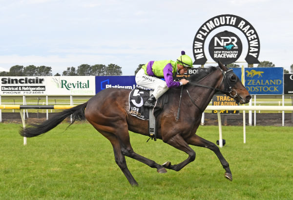 Hi Yo Legacy winning at New Plymouth on Wednesday.  Photo: Peter Rubery (Race Images Palmerston North)