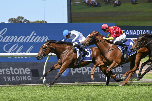 Hidden Motive wisn the G2 Roman Consul Stakes - image Bradley Photos