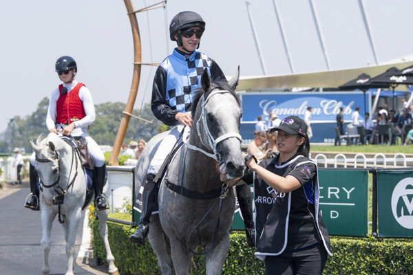 Hidrix returns a Group winning colt on debut - image Bradley Photos