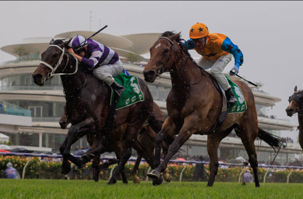 High Approach wins on the big stage at Flemington - image Grant Courtney