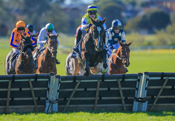 Highland Blaze led all the way to win - image Grant Courtney