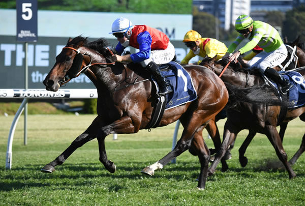 Hilal wins the $1million Bondi Stakes - image Steve Hart