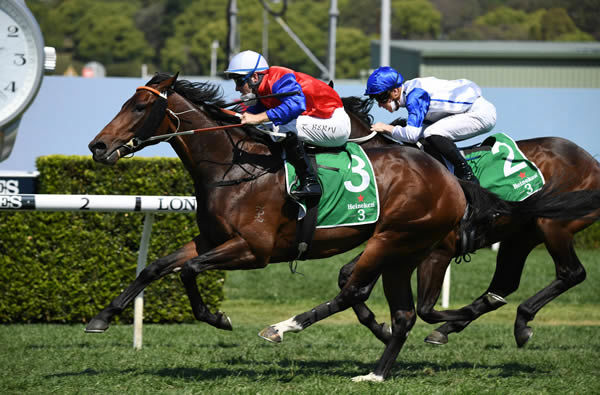 Hilal wins the G2 Stan Fox Stakes - image Steve Hart.