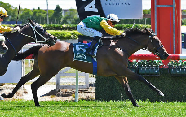 Hinekaha leads all the way to win at Te Rapa. Photo: Race Images - Kenton Wright)