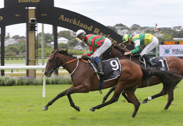 Ashvin Goindasamy celebrates another big race win at Ellerslie as he guides Hinepara to victory in the Gr.2 Wallen Concreting Avondale Cup (2400m) Photo Credit: Trish Dunell