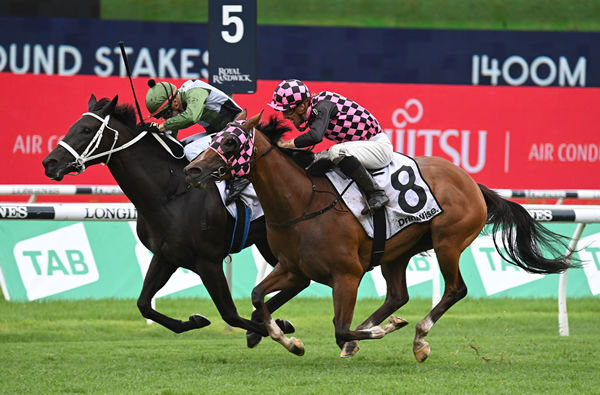Hinged wins the Surround Stakes (image Steve Hart)