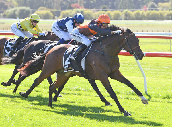 Hokkaido winning at Otaki on Thursday. Photo: Peter Rubery (Race Images)